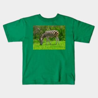 Zebra, Kruger National Park, South Africa Kids T-Shirt